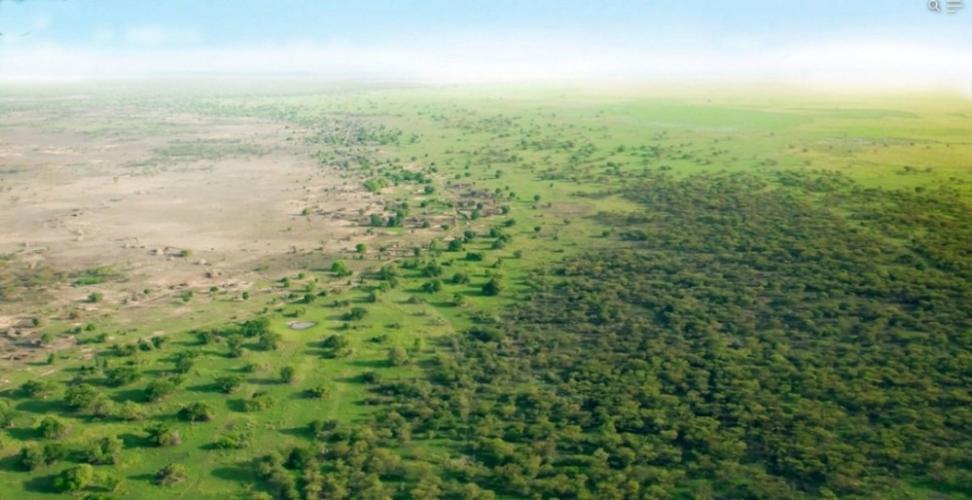 « Les sciences de la Grande Muraille verte. Plantes médicinales et cosmétiques dans l’espace sahélien : un état des savoirs » par Gilles Boëtsch