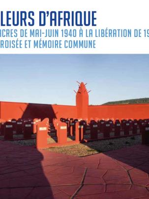 Tirailleurs d’Afrique. Histoire croisée et mémoire commune